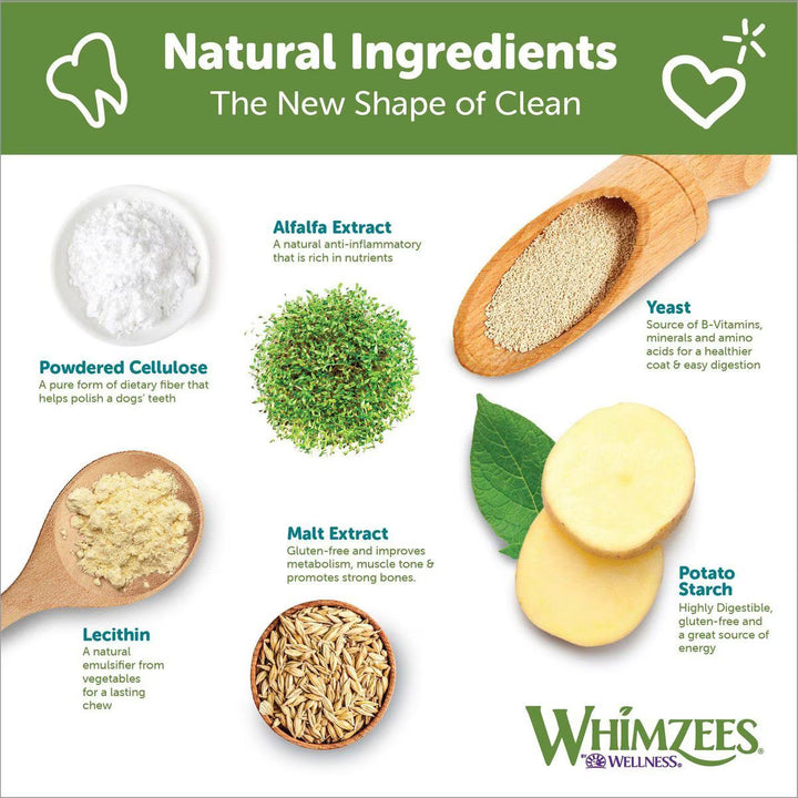 Whimzees Brushzees Dental Chew for Dogs