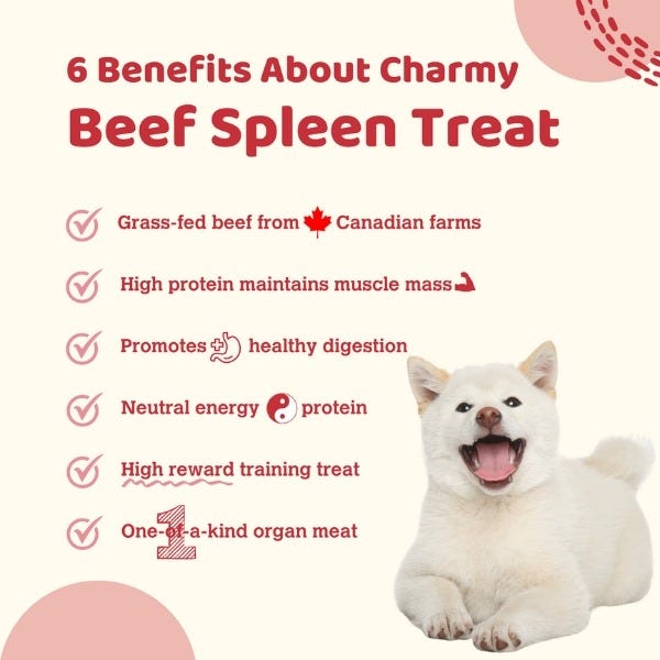 Charmy Pet Air Dried Treats - Beef Spleen