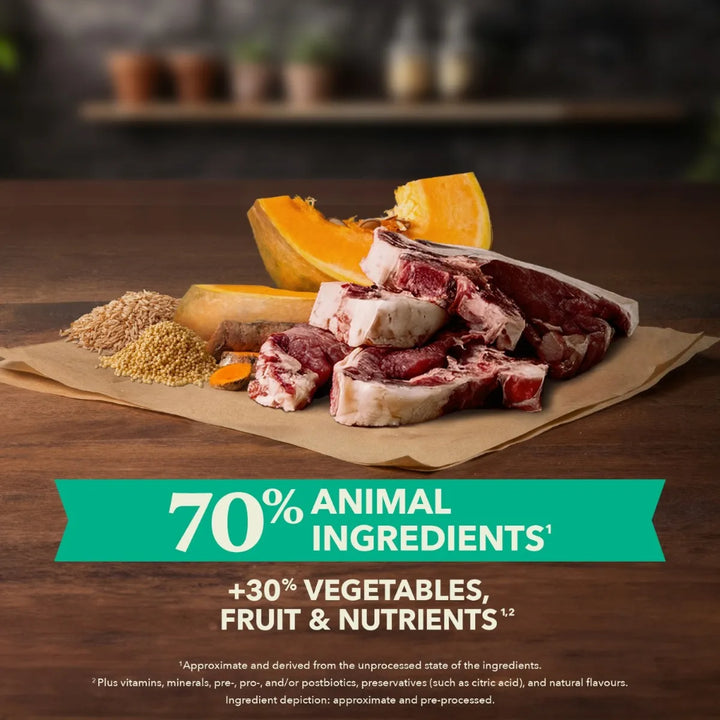Acana Healthy Grains Lamb & Pumpkin Dog Food