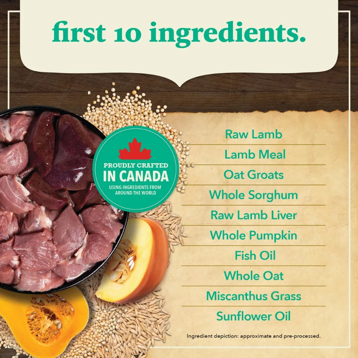 Acana Healthy Grains Lamb & Pumpkin Dog Food