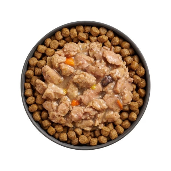 Go! Solutions Immune Health Booster for Cats - Minced Chicken & Salmon with Gravy Recipe