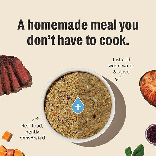 Honest Kitchen Wholemade Limited Ingredient Grain Free Fish Dog Food