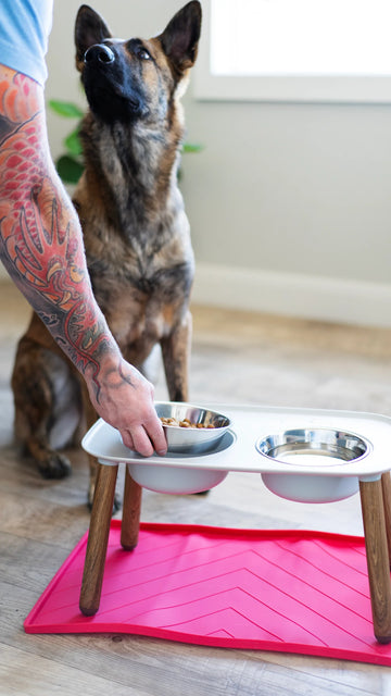 Messy Mutts - Elevated Double Dog Feeder with Stainless Bowls - Adjustable Height 3" to 10"