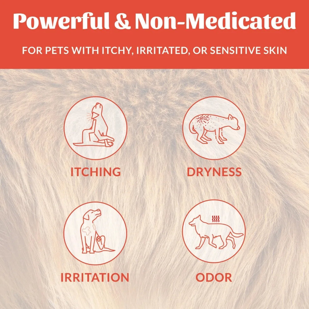 Skout's Honor Probiotic Itch Relief Shampoo