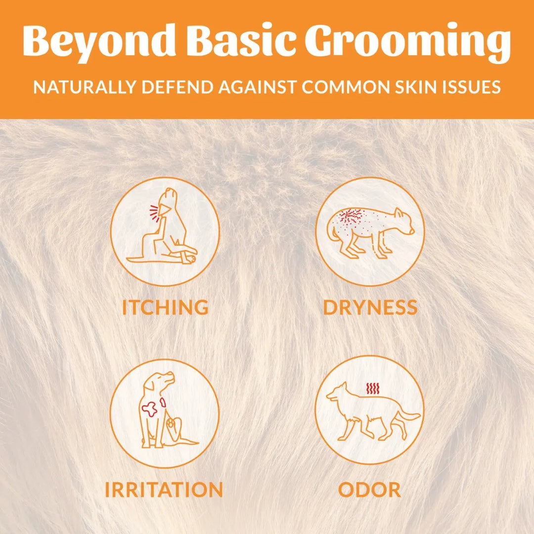 Skout's Honor Probiotic Shampoo & Conditioner - Honeysuckle