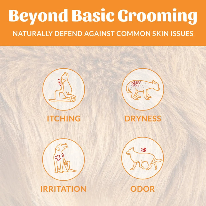 Skout's Honor Probiotic Shampoo & Conditioner - Honeysuckle
