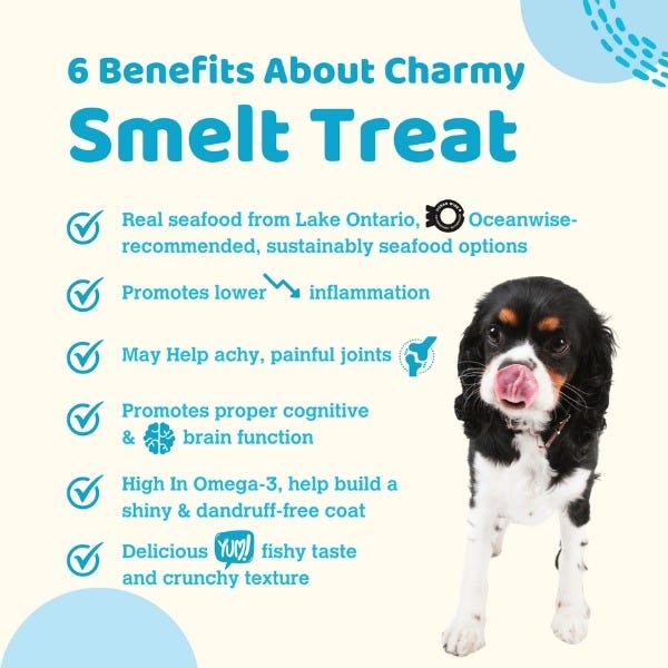 Charmy Pet Air Dried Treats - Lake Smelt