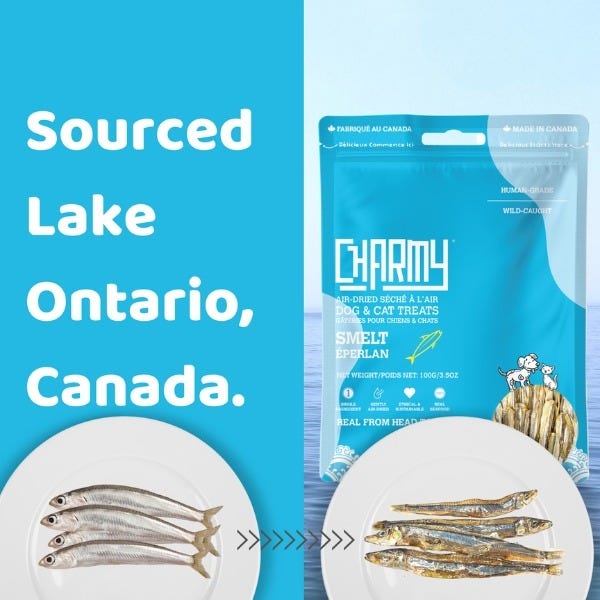 Charmy Pet Air Dried Treats - Lake Smelt