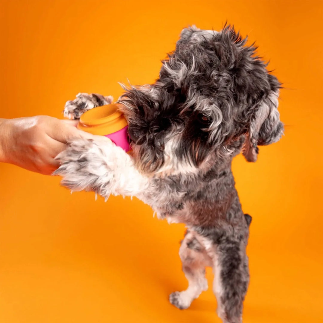 WAGLAB PlayStack - The Spinner - Modular Dog Toy