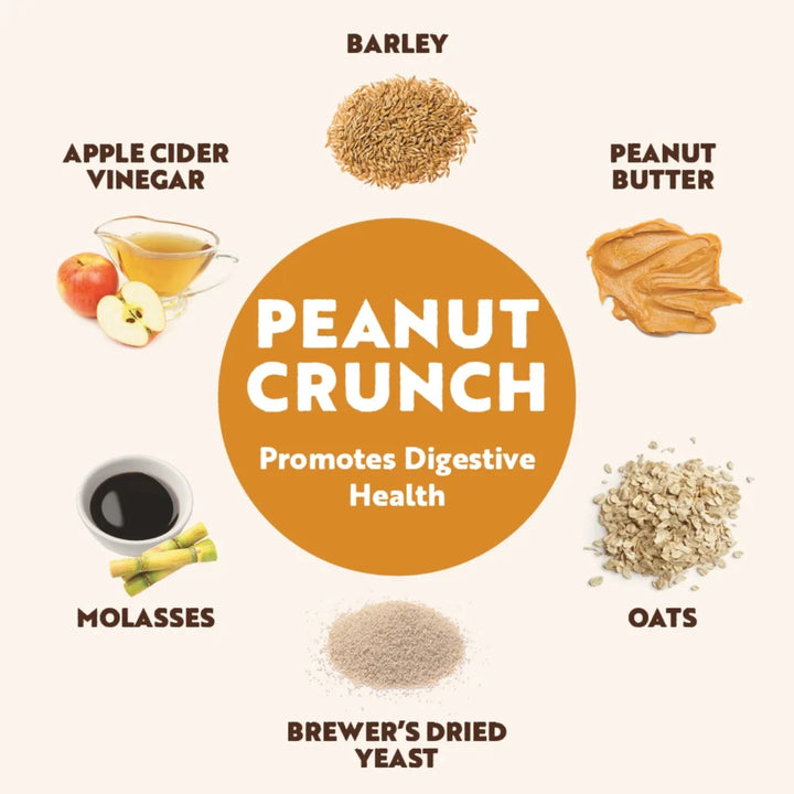Northern Biscuit - Mini Mix Pumpkin Pie And Peanut Crunch Dog Treats