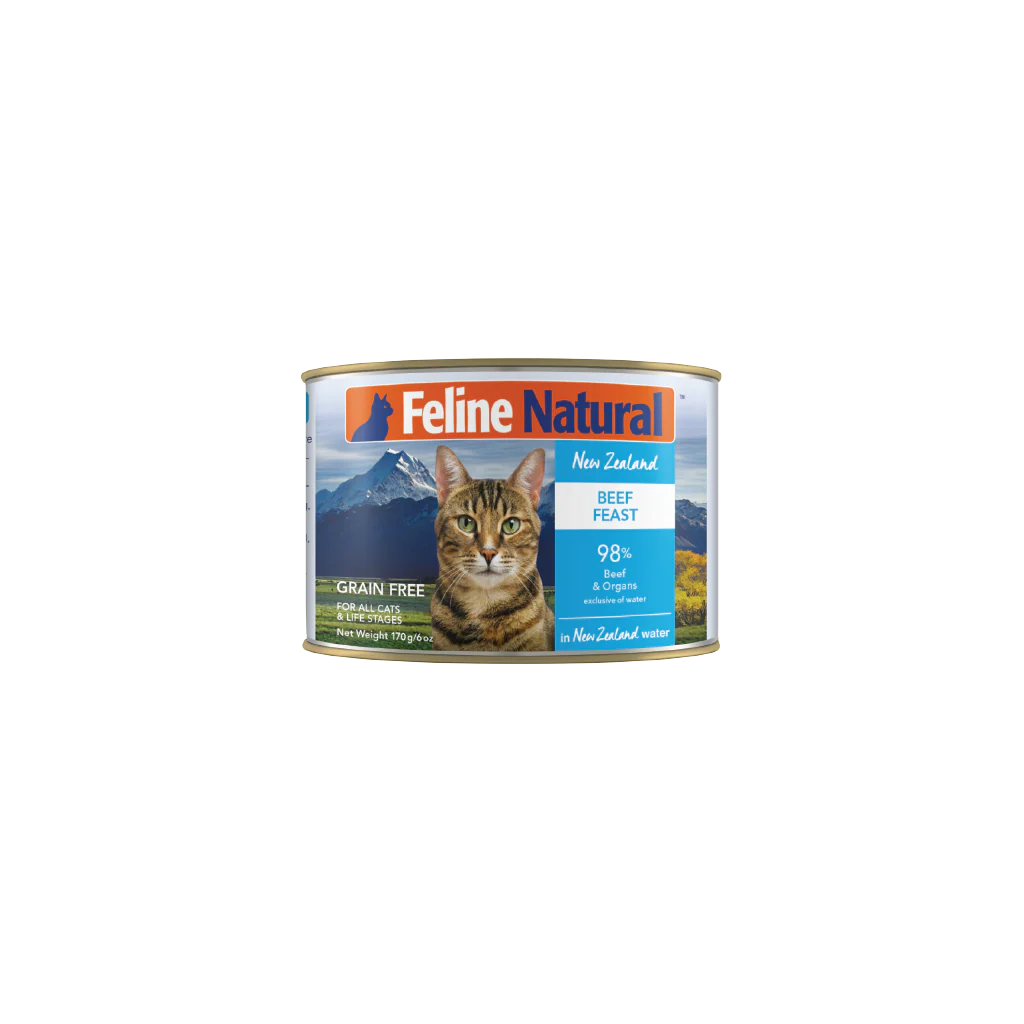 Feline Natural Beef Feast Wet Cat Food