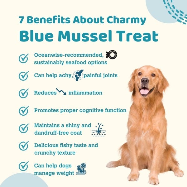 Charmy Pet Air Dried Treats - Blue Mussel