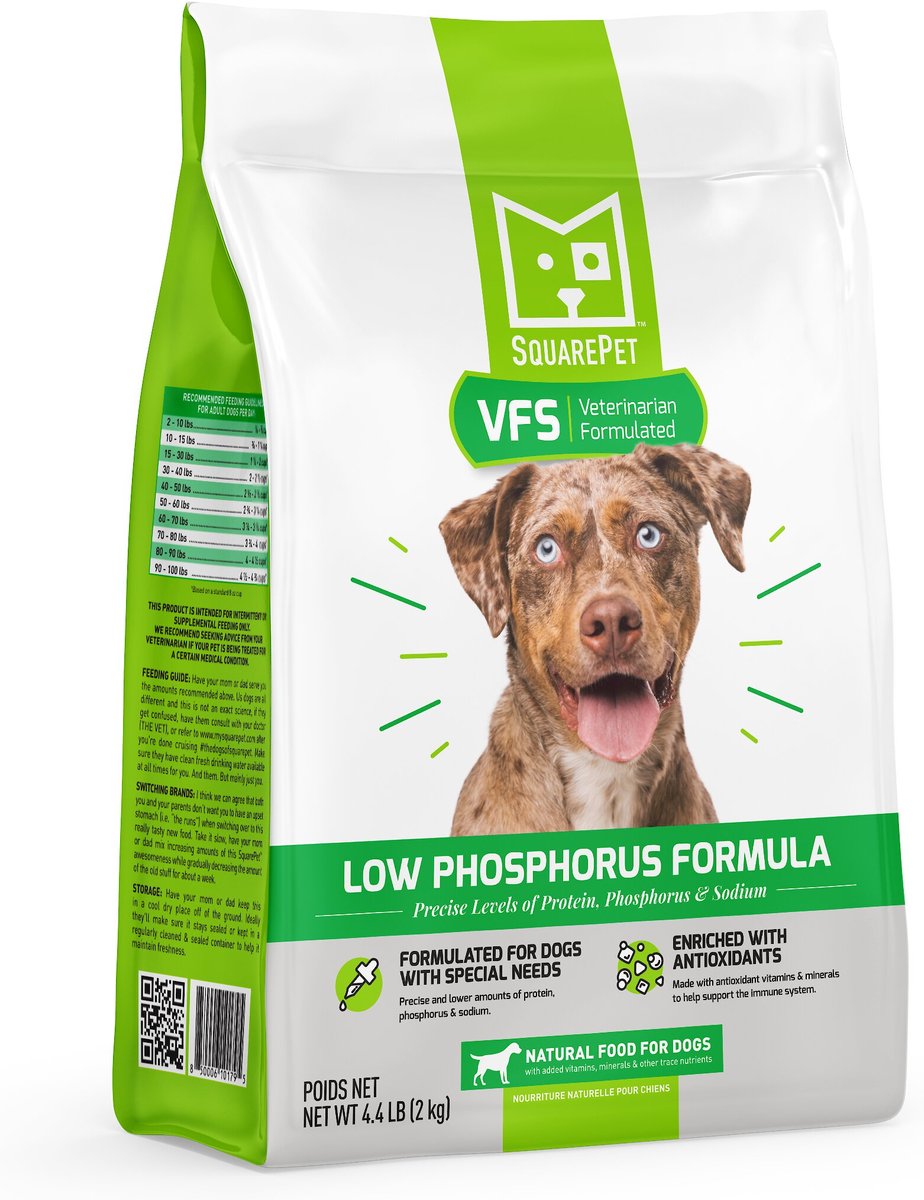 Square Pet VFS Low Phosphorus Dry Dog Food
