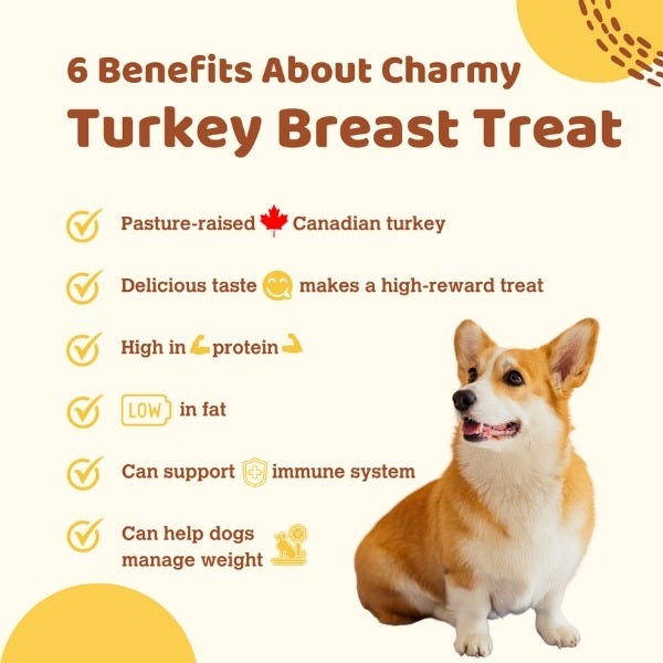 Charmy Pet Air Dried Treats - Turkey Breast