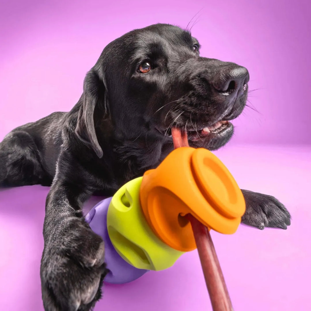 WAGLAB PlayStack - The Bully - Modular Dog Toy