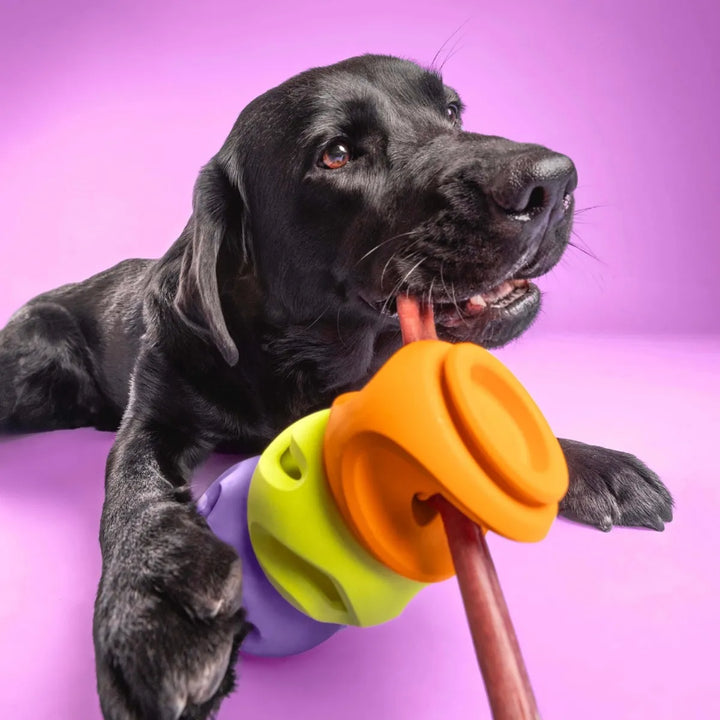 WAGLAB PlayStack - The Bully - Modular Dog Toy