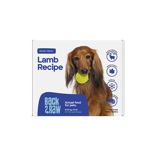 Back2Raw Basics Lamb Recipe