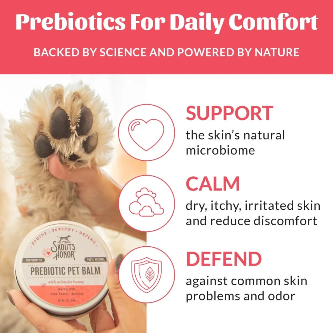 Skout's Honor Prebiotic Paw & Nose Pet Balm