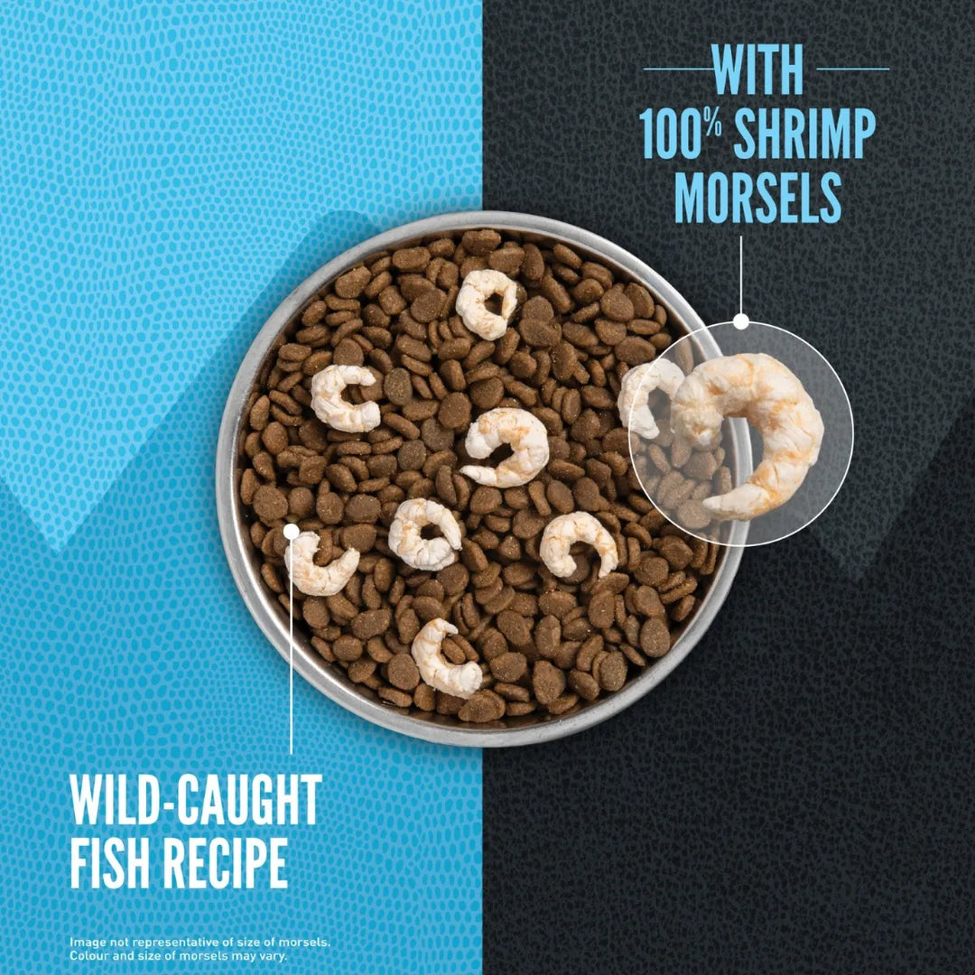 Orijen Wild Reserve - Fish & Shrimp - Cat Food