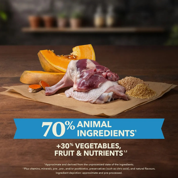 Acana Healthy Grains Duck & Pumpkin Dog Food