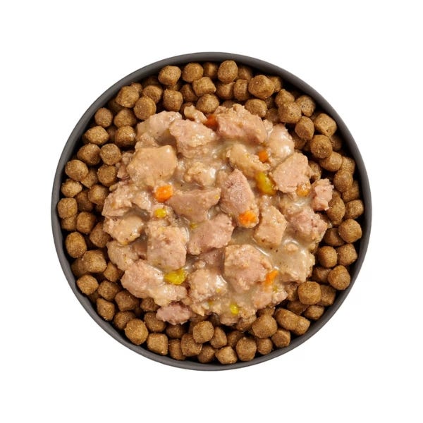 Go! Solutions Brain Health Booster for Cats - Minced Chicken and Salmon with Gravy Recipe