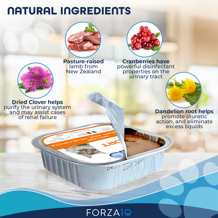 Forza10 Renal Support Wet Cat Food