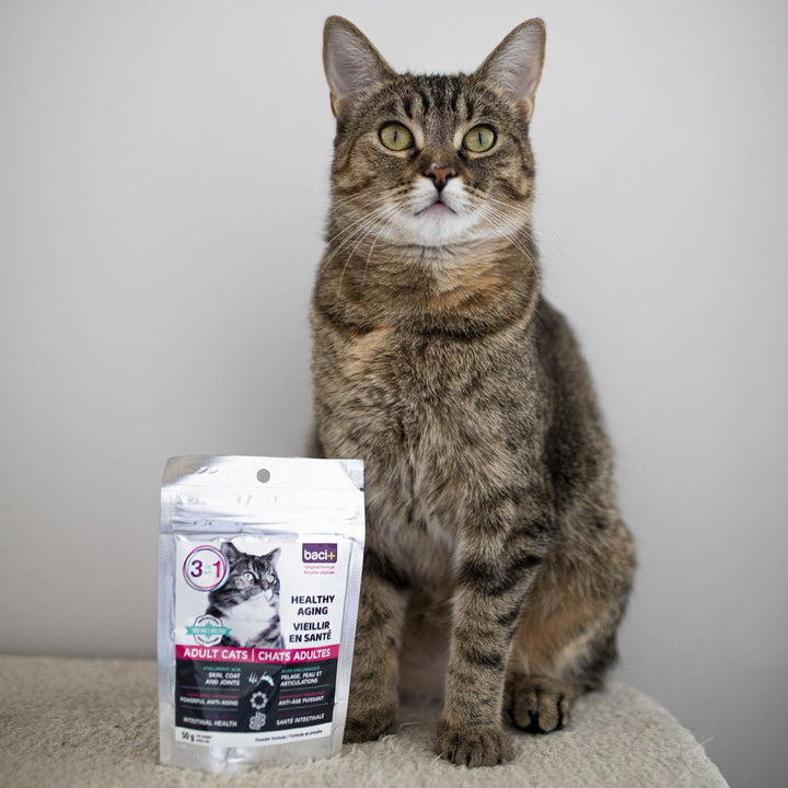 Baci+ 3-in-1 Healthy Aging for Adult Cats