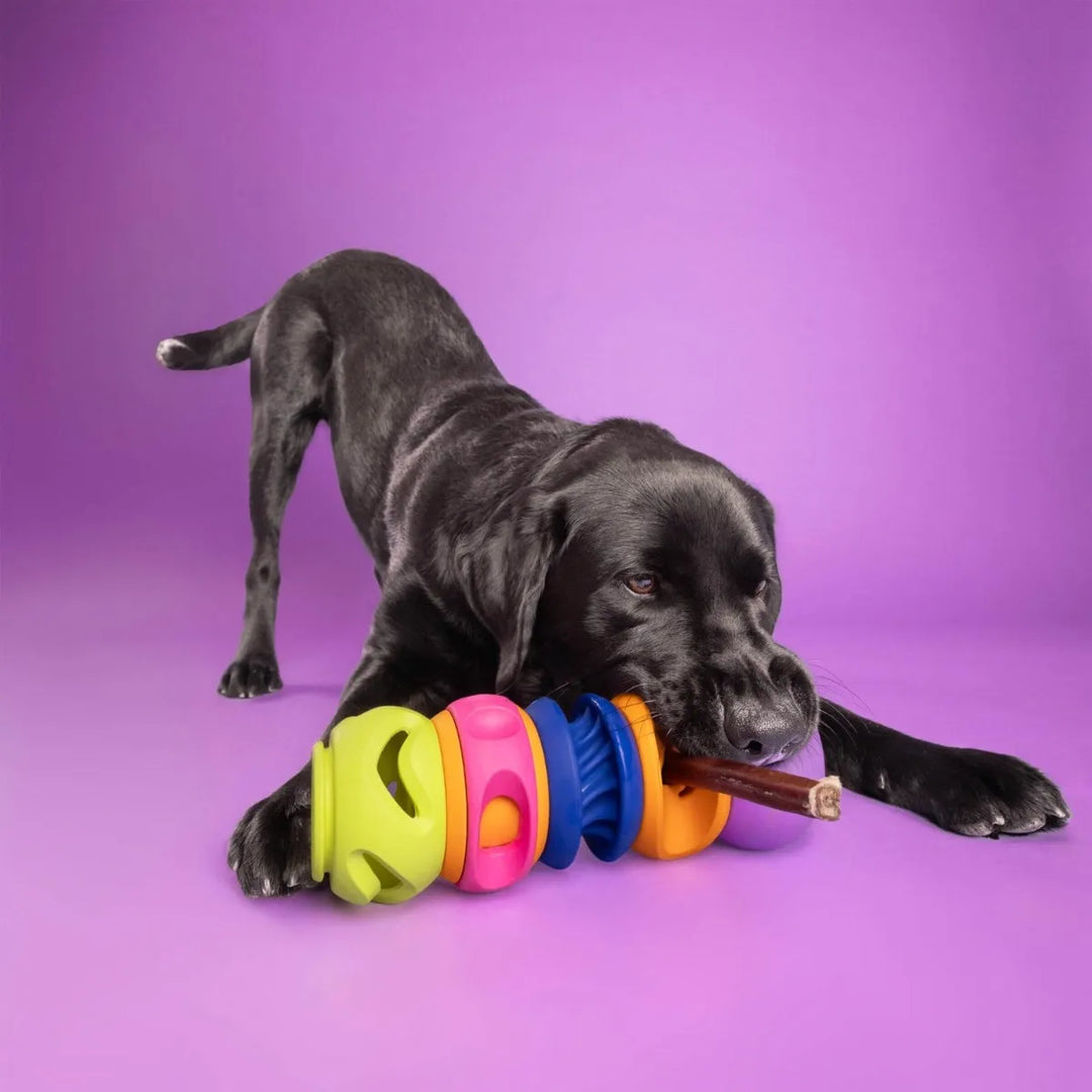 WAGLAB PlayStack - The Squiggle - Modular Dog Toy