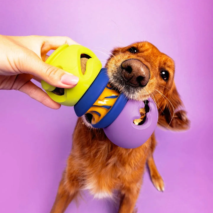 WAGLAB PlayStack - The 2-Pack Multi - Modular Dog Toy