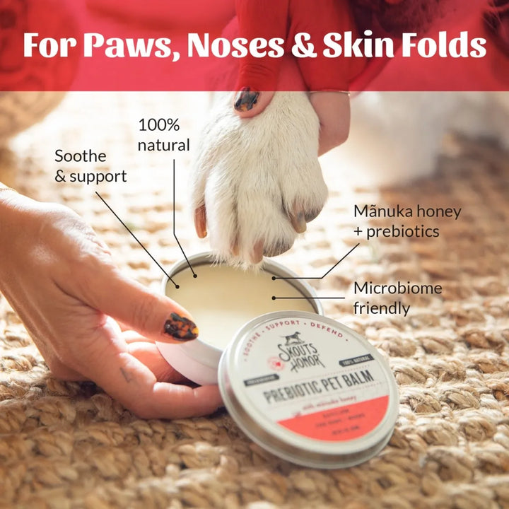 Skout's Honor Prebiotic Paw & Nose Pet Balm