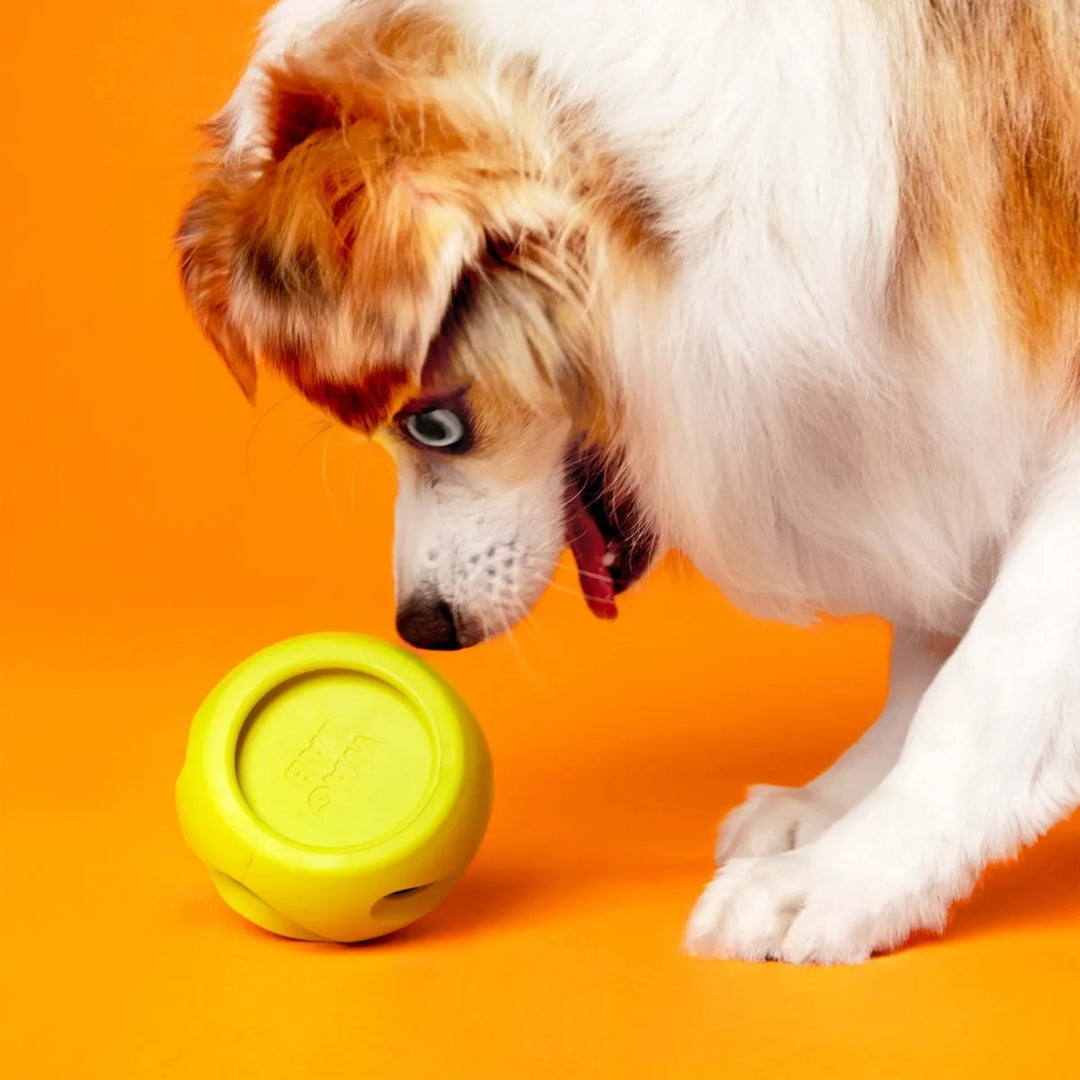 WAGLAB PlayStack - The Boomerang - Modular Dog Toy