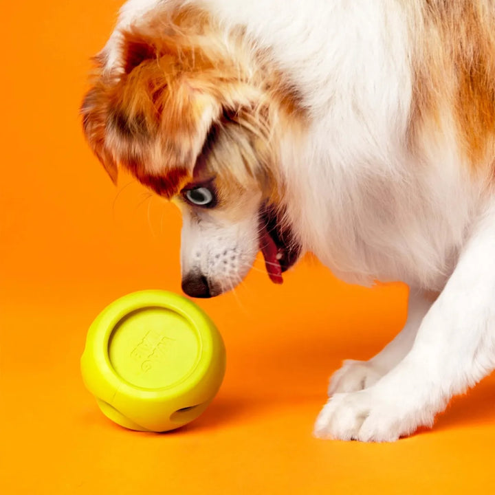 WAGLAB PlayStack - The Boomerang - Modular Dog Toy