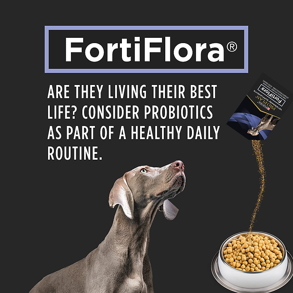 Fortiflora fashion probiotics for dogs