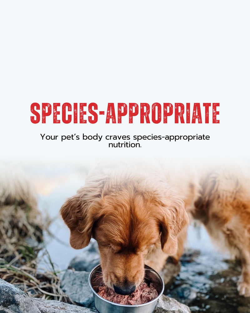 multicolumns-item-image-1