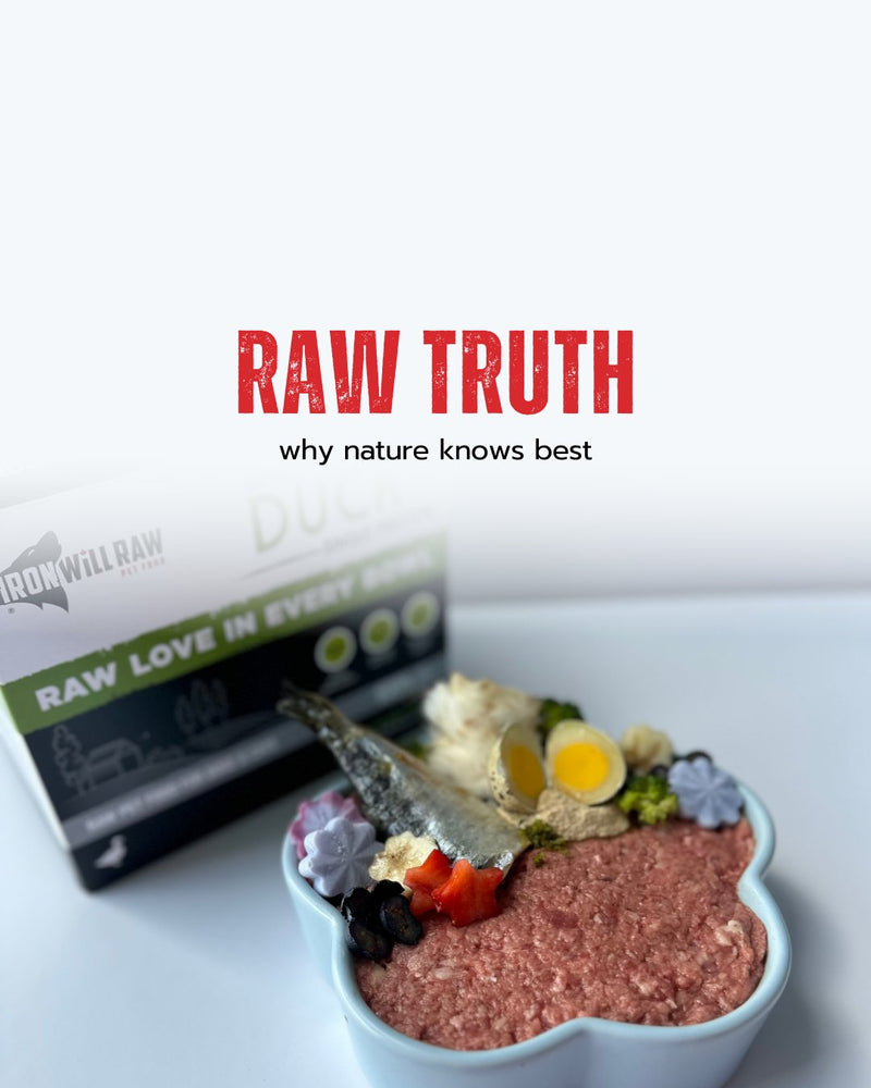 multicolumns-item-image-2