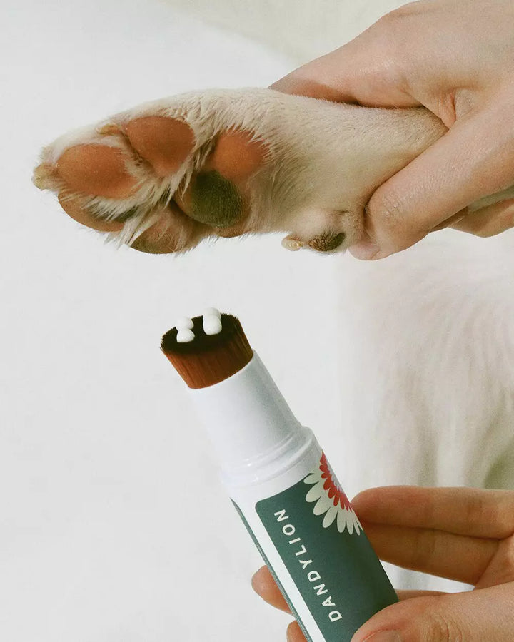 Dandylion Soft Paws Brush-On Lotion