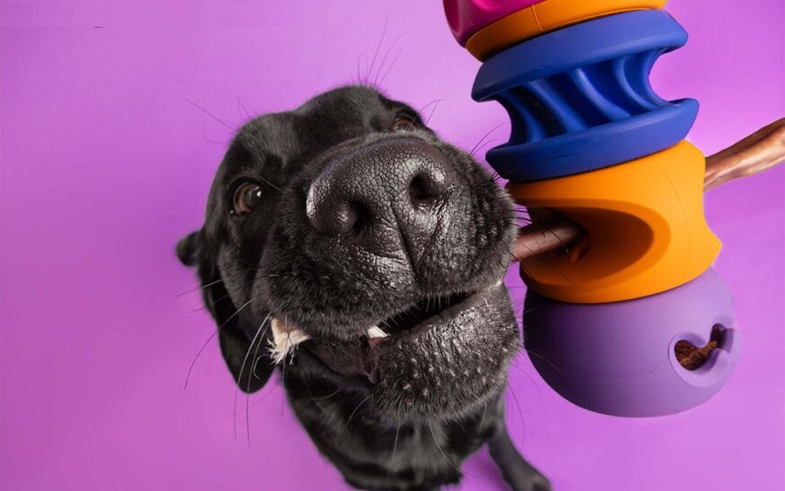 WAGLAB PlayStack - The Slobber - Modular Dog Toy