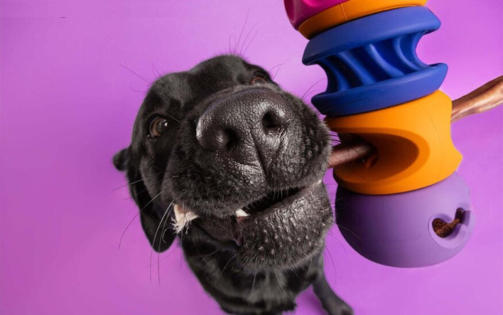 WAGLAB PlayStack - The Slobber - Modular Dog Toy