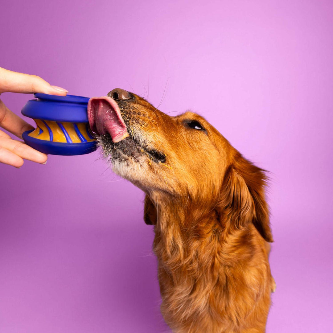 WAGLAB PlayStack - The Slobber - Modular Dog Toy