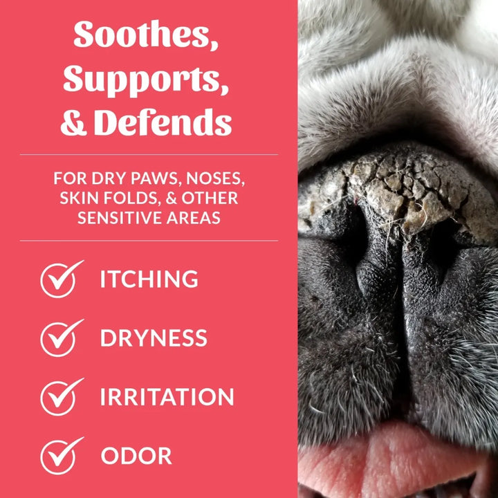 Skout's Honor Prebiotic Paw & Nose Pet Balm