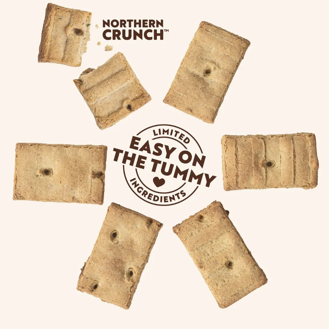 Northern Biscuit - Mini Mix Pumpkin Pie And Peanut Crunch Dog Treats