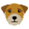 Fetchy logo