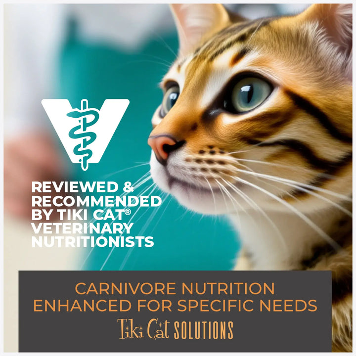 Tiki Cat Solutions Mousse - Mineral Balance Tuna & Salmon - Wet Cat Food