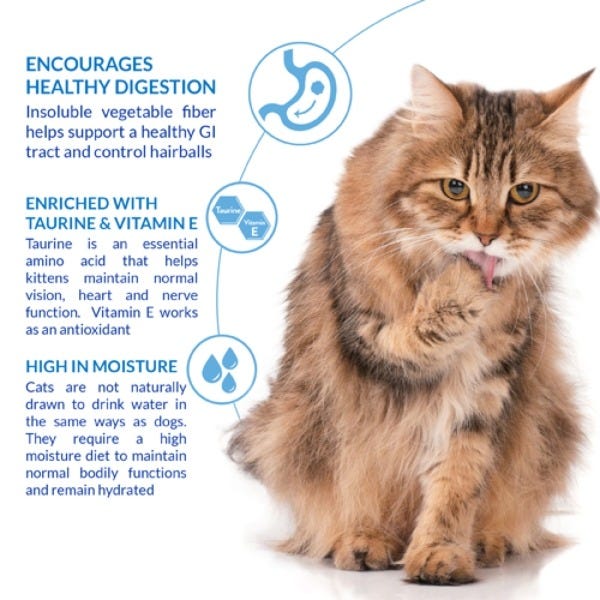 Inaba Churu Hairball Control Purees - Chicken Recipe