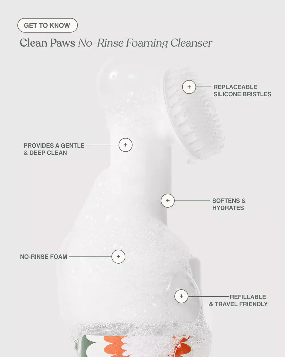 Dandylion Clean Paws No-Rinse Foaming Cleanser