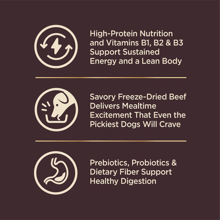 Wellness CORE+ Beef & Barley Wholesome Grains Adult Dry Dog Food