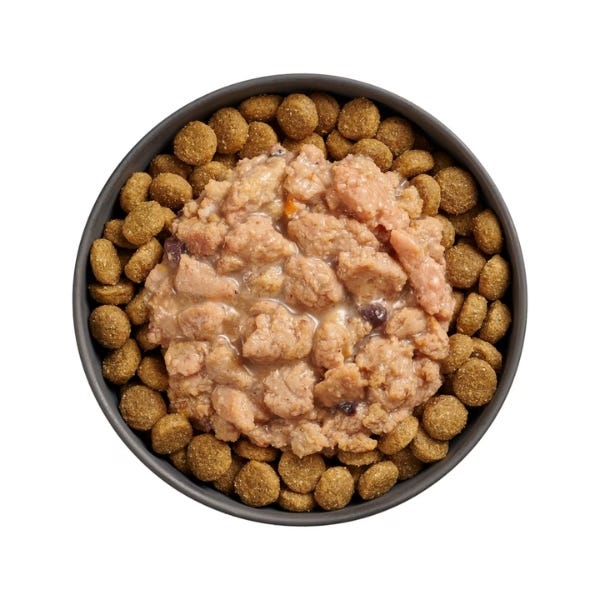 Go! Solutions Immune Health Booster for Dogs - Minced Chicken with Gravy Recipe