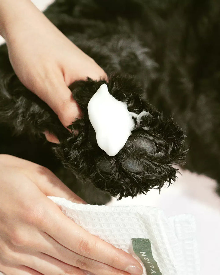 Dandylion Clean Paws No-Rinse Foaming Cleanser