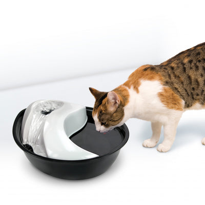 Pioneer Pet Raindrop Plastic Water Fountain For Cats