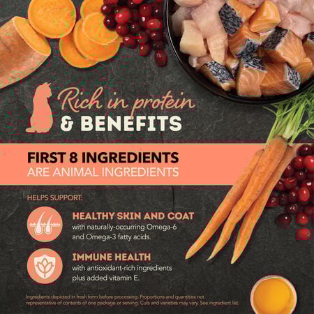 Acana Salmon & Chicken Chunks in Broth - Wet Cat Food